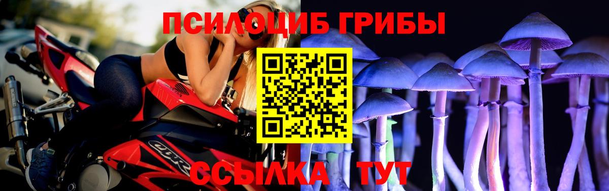 Псилоцибиновые грибы прущие грибы Советский
